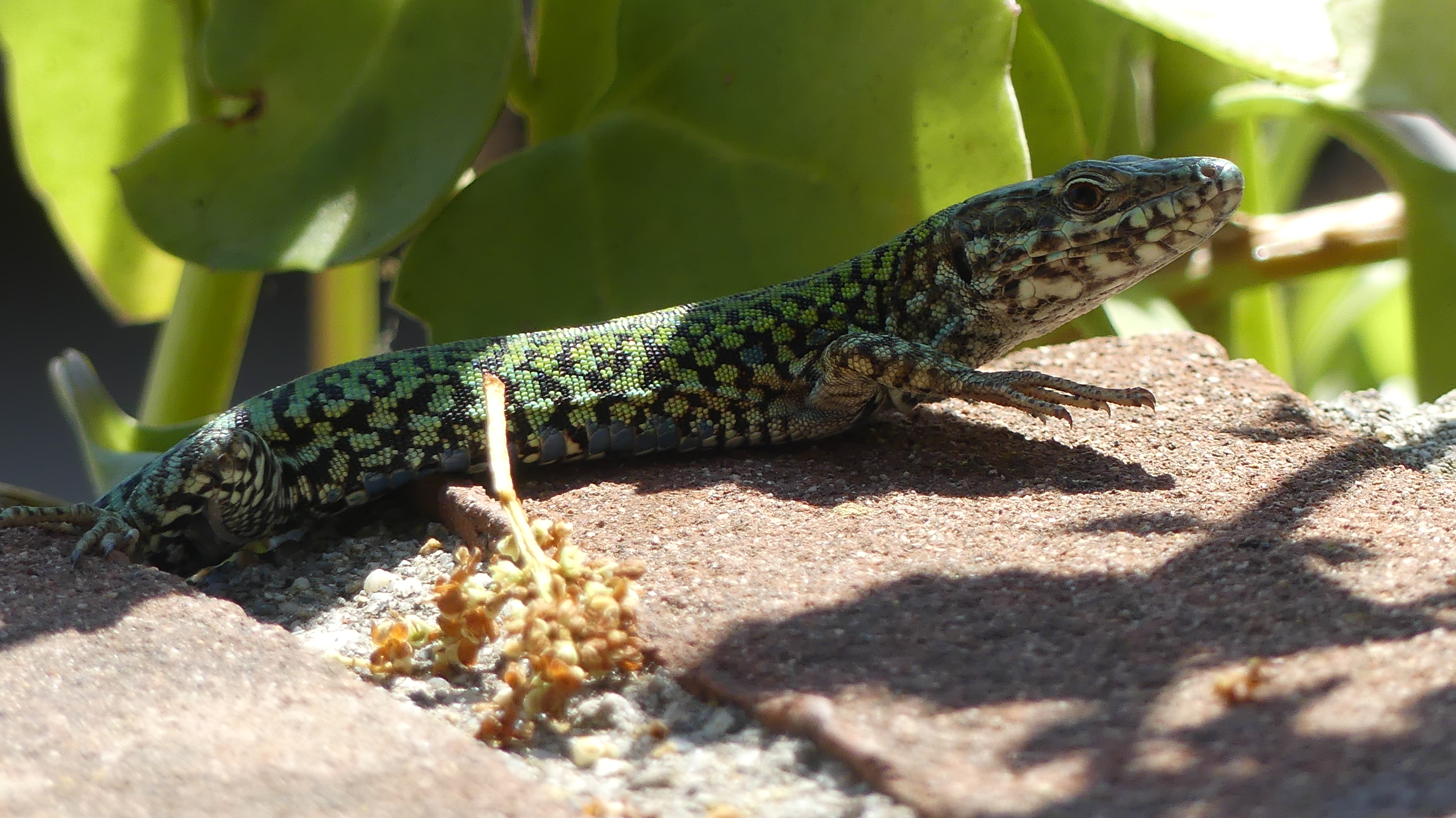 Une barque sur l’océan